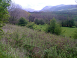 Whitehaven to Penrith