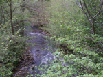 Penrith to Allenheads
