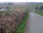 Penrith to Allenheads